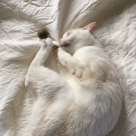 2018/03/18の 画像