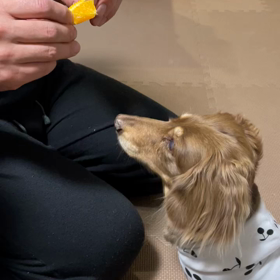 オレンジの食べた方♡の画像