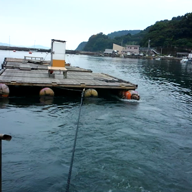 立ち目沖筏の画像