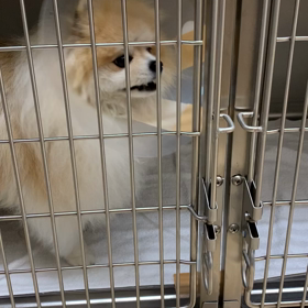 入院2日目。の画像