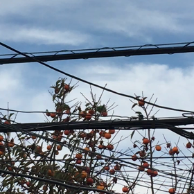 もう二度と中国製電化製品は買わないぞ！の画像