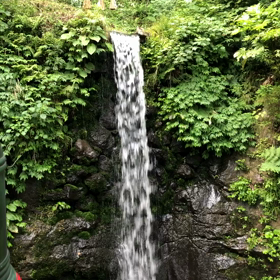 今日は休みの画像