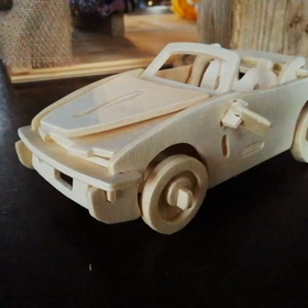 (観覧注意)スーパーカーを破壊する鳥　ドアミラーとベアリング破損の画像