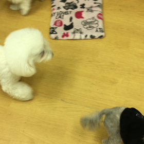 危機回避しながら。の画像