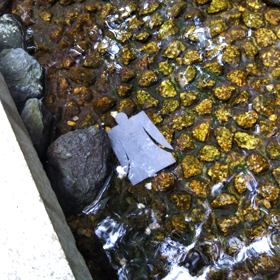 人形流しの画像