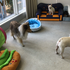 ♪年末年始のプレイルーム動画♪12の画像