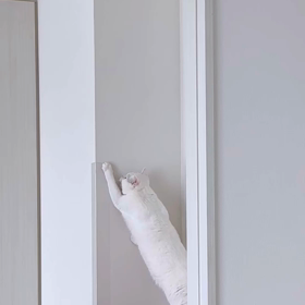 日曜日の朝の画像