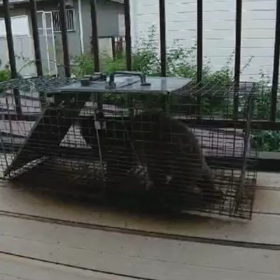 また子供でしたの画像