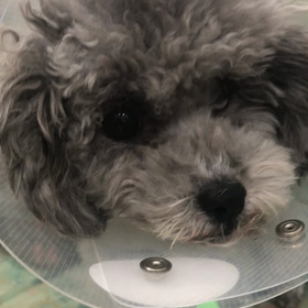 生命力がスゴイ～！！の画像