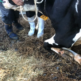 毎度のことながら、グチwwの画像