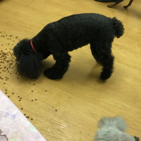 いや〜、儲けたな。の画像