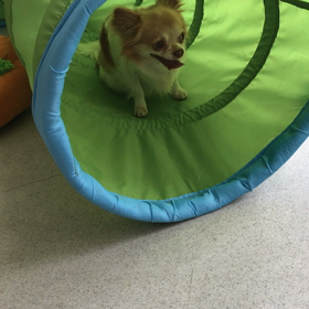 ♪プレイルーム動画♪②の画像