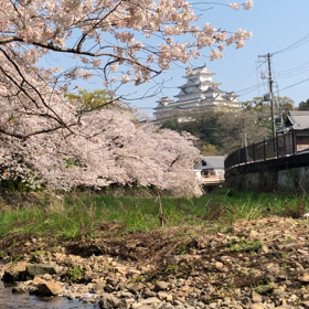 癒されるよ〜の画像