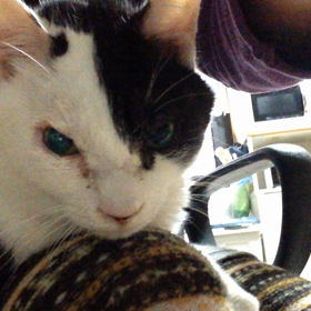 ハッピーバースデーの画像