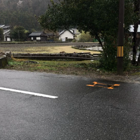 何かが横切ったの画像