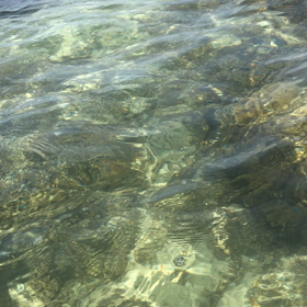 又々沖縄  石垣島  シュノーケル三昧の画像