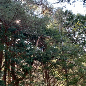 風の画像