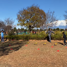短距離レース前 アップ⑦の画像