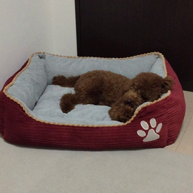 クリスマスプレゼント♡の画像