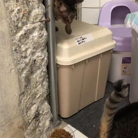 れんくん顔洗って〜の画像