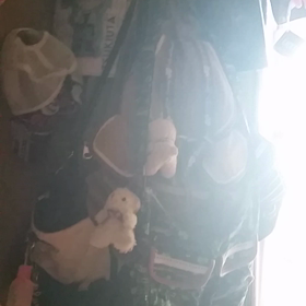 部屋が変わりすぎて……の画像