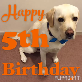 ジャック☆5歳の画像