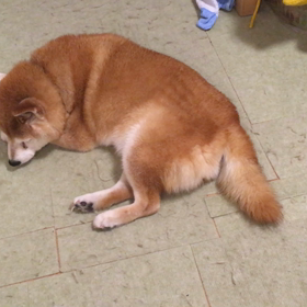 恐怖しかない(T-T)の画像