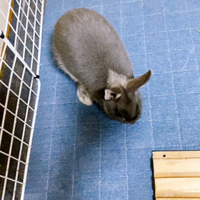 怒り爆発？の画像