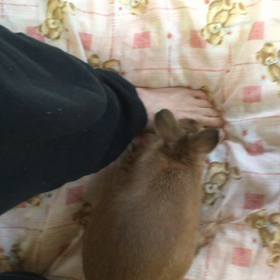 可愛くても痛いですの画像