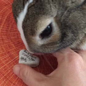 神頼み♡の画像