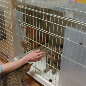 なぎくんなぎなぎなぎ～の画像