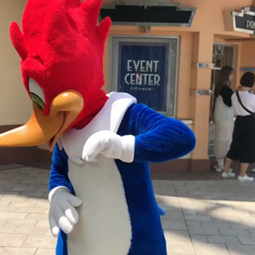 ２０１９．７．２３ ユニバ、ウッディーのグリーティング（動画）の画像