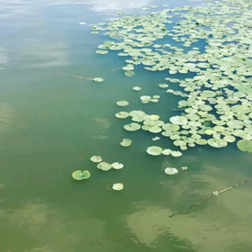 とにかくお金がかかりません　笑の画像