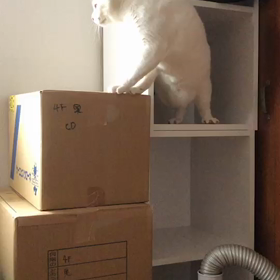 横に渡りたいのに渡れないの画像