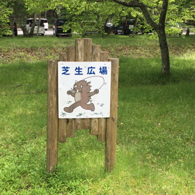 芝生広場の画像