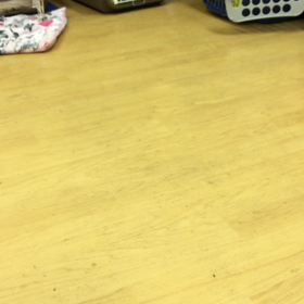 背伸びしやぁ。の画像