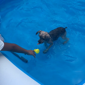 リオの唯一の特技の画像