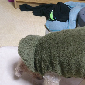 またまた朝から…の画像