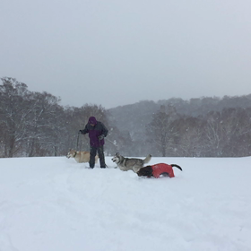 動画）那須での雪あそびの画像