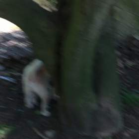 お友達との画像