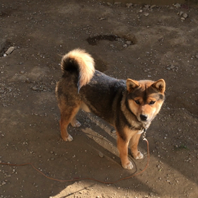 キャッチ上手の画像