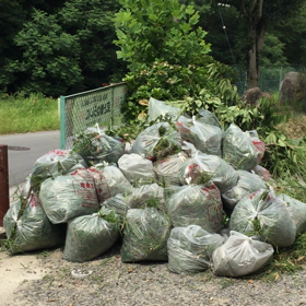 草刈あとのできばえ‼︎の画像