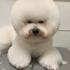 あらち起きて！〜☆の画像