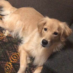 今朝の我が家の画像