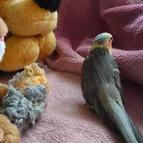 アトリエKAZUです。の画像