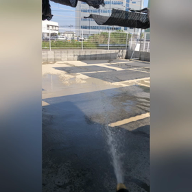 遊び方は犬それぞれ✨の画像