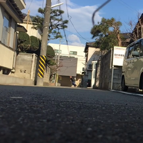 今朝の横乗りの画像