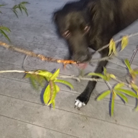 イタズラ中の画像