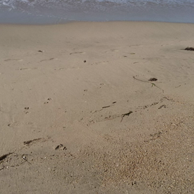 動画を撮る＝「待つ＆見せる」ことの画像