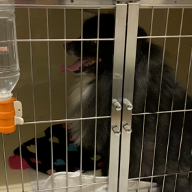 お泊り♡たまちゃんの画像